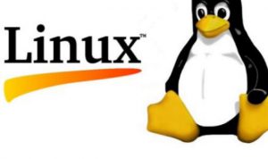 Asterisk Voip hiện nay chỉ tương thích chạy trên các hệ điều hành Unix